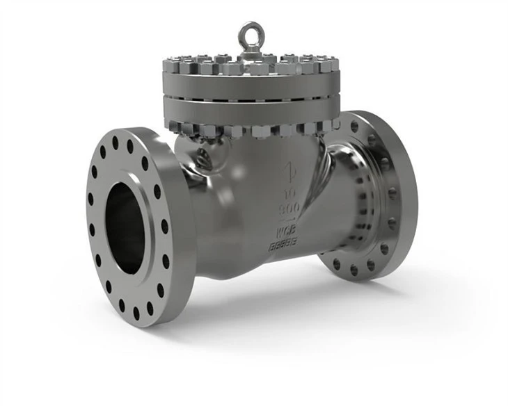 SwingCheckValve_Shadow2-e1522958428937(001)